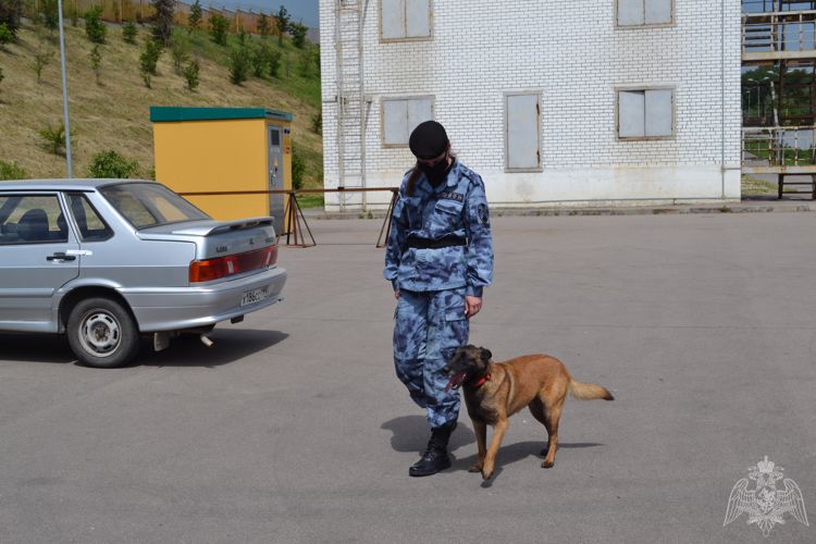 В преддверии Дня кинологической службы Росгвардии кинолог столичного ОМОН рассказала о своей службе