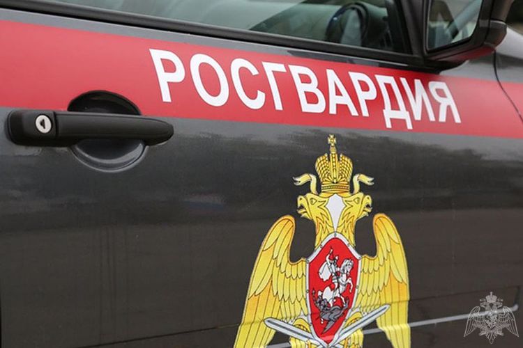 В Москве росгвардейцы задержали подозреваемых в совершении различных правонарушений (видео)