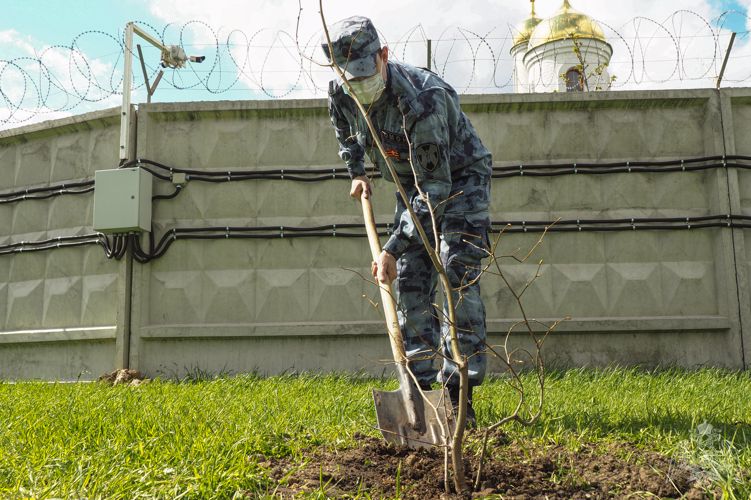 В Москве сотрудники Росгвардии провели памятные мероприятия, посвященные Дню Победы