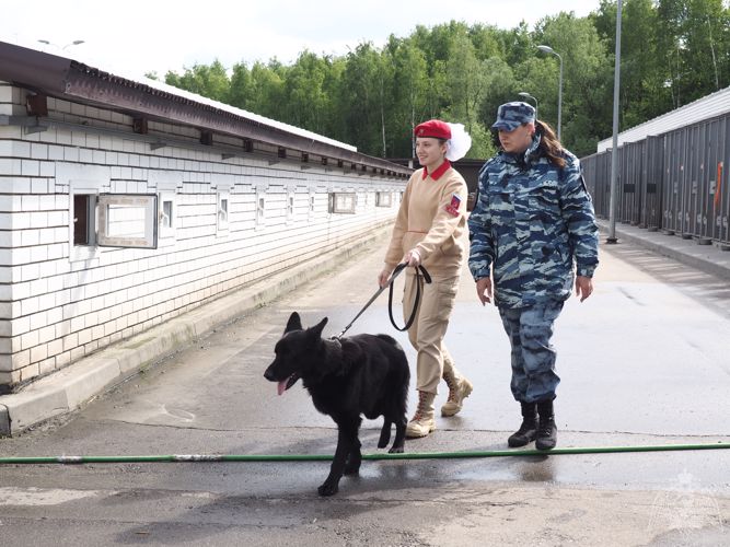 Кинологи ОМОН провели мастер-класс для юной жительницы Москвы