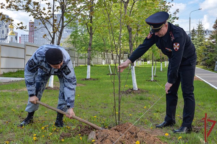 Акция «Лес Победы» прошла в столичном главке Росгвардии