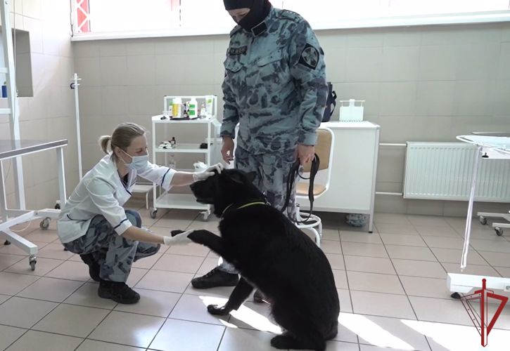 Кинологи столичного главка Росгвардии отмечают профессиональный праздник