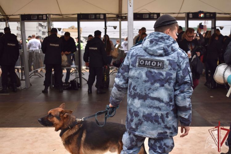 Кинологи столичного главка Росгвардии отмечают профессиональный праздник