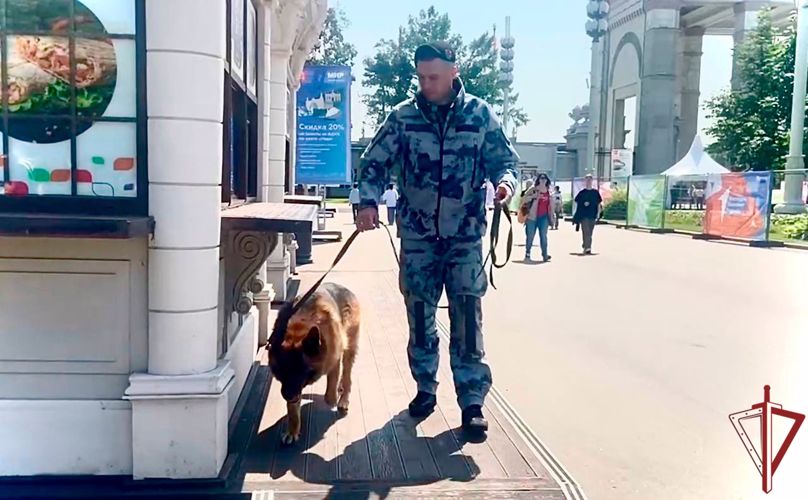 Росгвардейцы обеспечили безопасность на Фестивале «Движение первых» в Москве