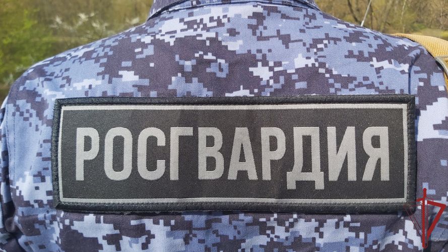 Сотрудники Росгвардии в столице помогли заблудившемуся лосю