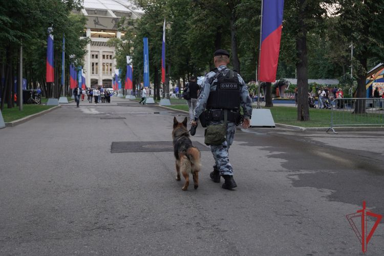 Росгвардия обеспечила безопасность москвичей и гостей столицы в день города