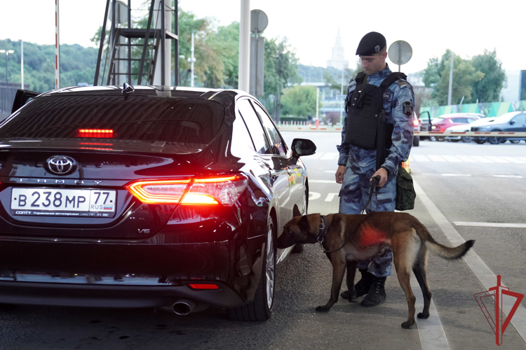 Росгвардия обеспечила безопасность проведения рок-концерта в "Лужниках"