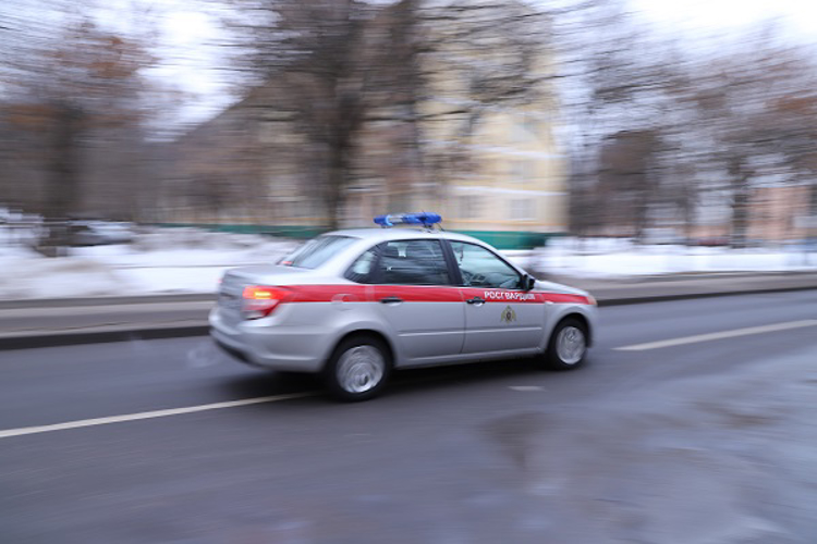 Сотрудники Росгвардии задержали подозреваемого в грабеже в Москве