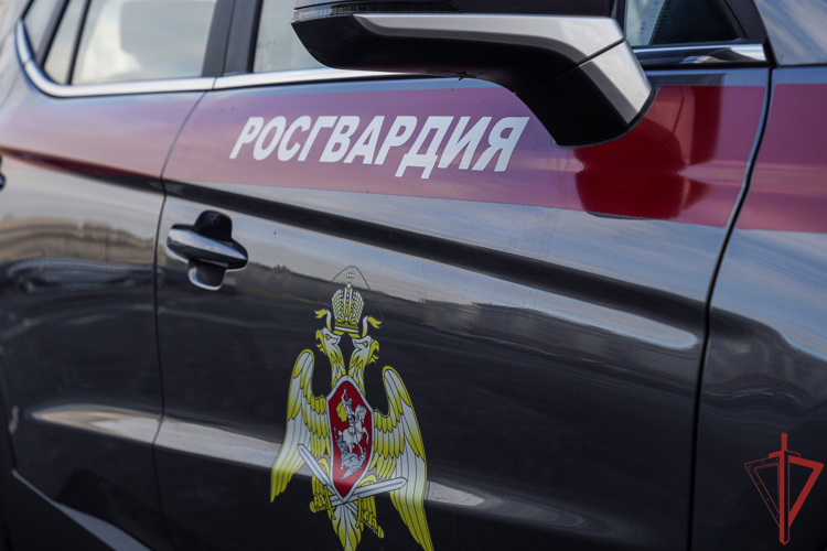 Столичные росгвардейцы задержали мужчину с особо крупной партией мефедрона