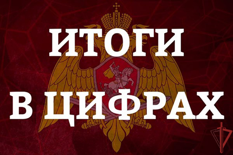 Более 15 тысяч выездов по сигналу «тревога» совершили столичные росгвардейцы за минувший месяц