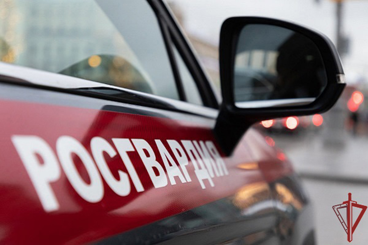 Сотрудники Росгвардии задержали мужчину, набросившегося с ножом на охранника в Москве (видео)