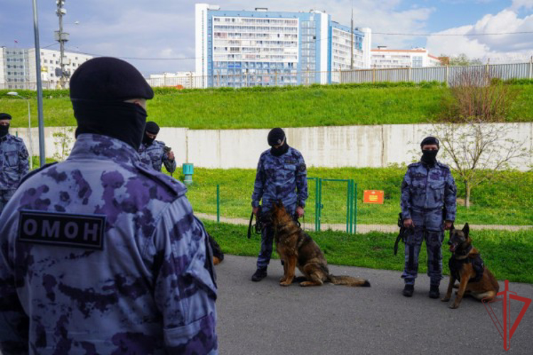 В столичном главке Росгвардии прошла проверка натренированности собак