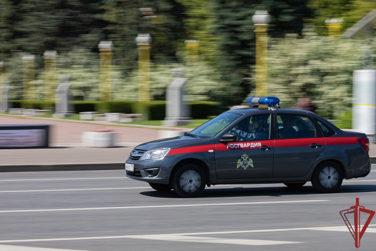 Столичные росгвардейцы задержали мужчин, подозреваемых в хранении наркотиков (видео)