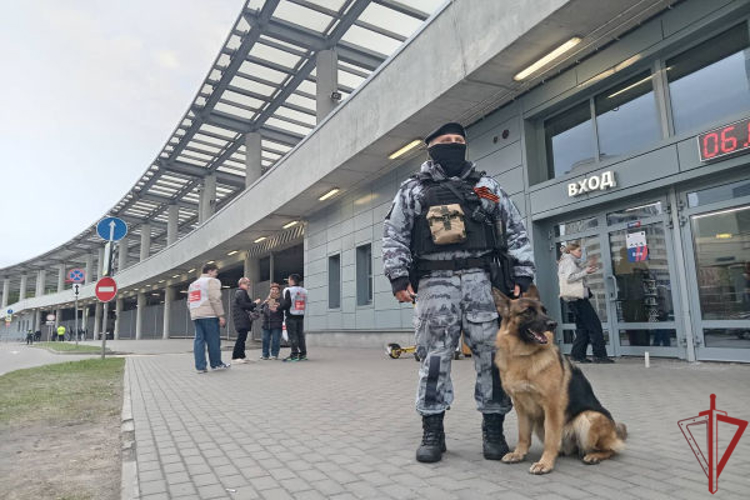 Росгвардия  приняла участие в обеспечении безопасности при проведении футбольных матчей в Москве