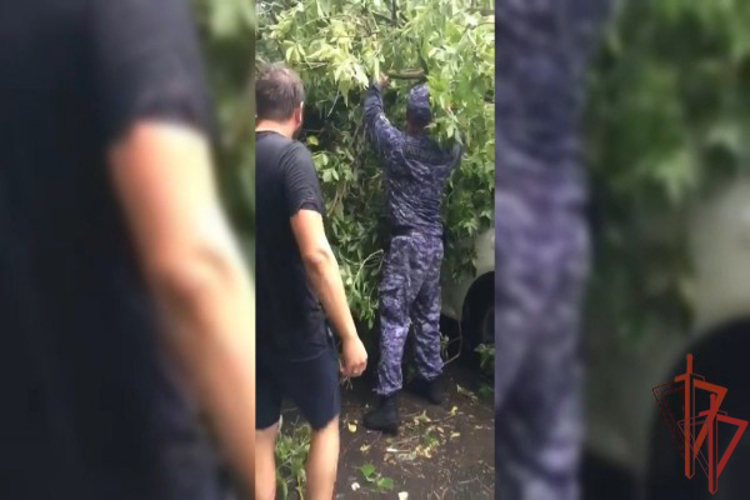 Росгвардейцы оказали помощь водителю, на автомобиль которого упало дерево