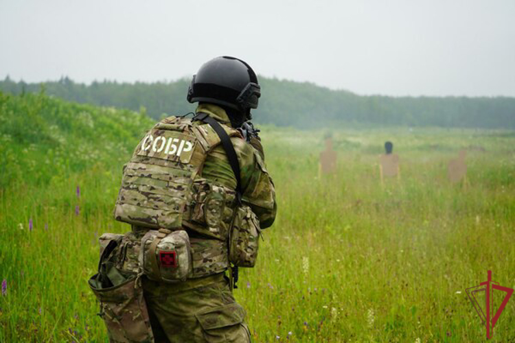 Спецподразделение Росгвардии  проводит занятия на одном  полигонов  Подмосковья 