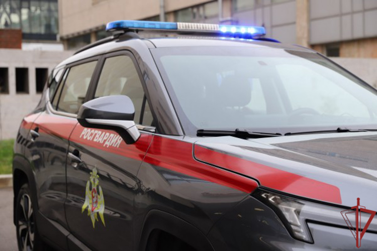 Сотрудники Росгвардии задержали пьяного водителя эвакуатора в Москве  (видео)