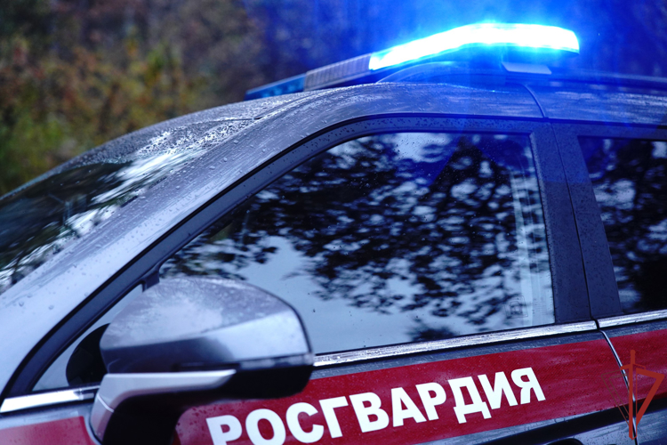 Сотрудники Росгвардии задержали в Москве мужчину, угрожавшего пистолетом работникам одного из магазинов (видео)