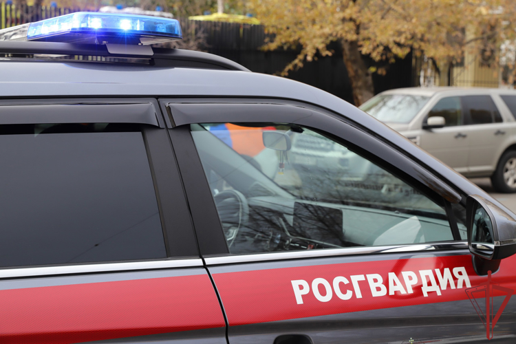 Росгвардейцы задержали находившегося в федеральном розыске мужчину в Москве (видео)