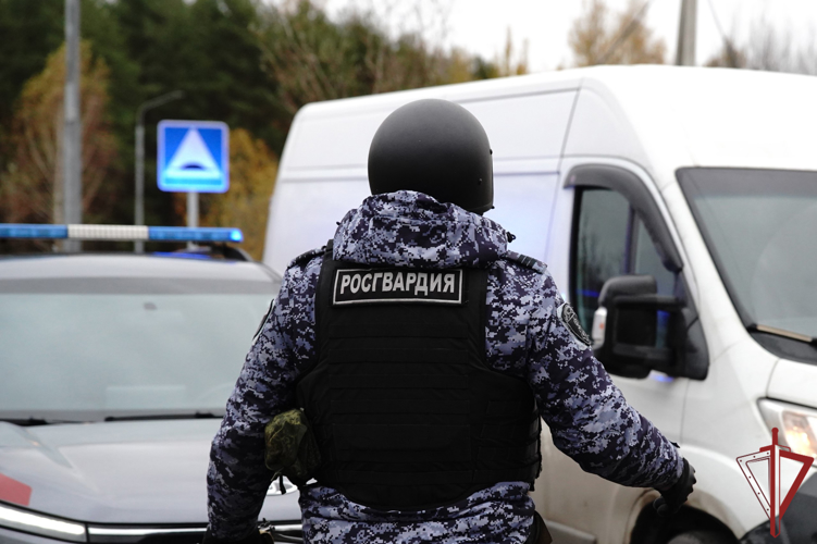 Росгвардейцы блокировали разыскиваемый автомобиль в Москве (видео)