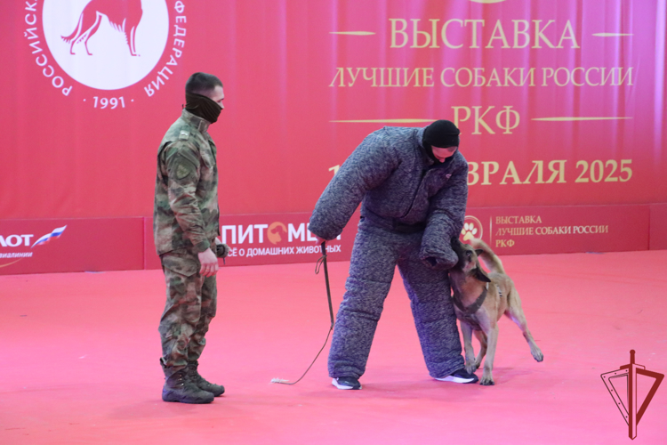 Кинологи Росгвардии выступили на открытии ежегодной выставки собак в Подмосковье (видео)
