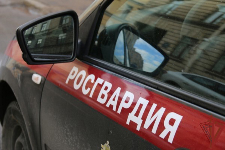 В Москве росгвардейцы задержали рецидивиста, угнавшего два автомобиля 