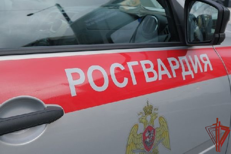 Московские росгвардейцы оказали помощь пожилой женщине, пострадавшей при падении