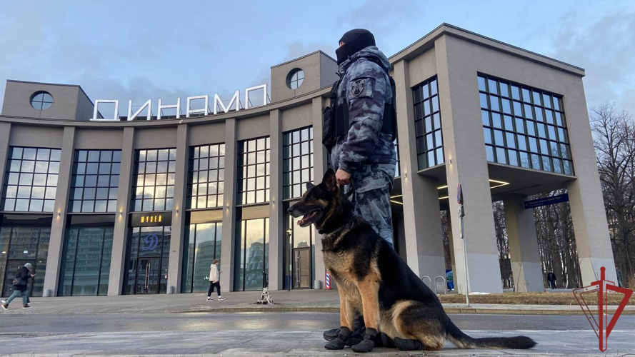 Безопасность матча КХЛ в Москве обеспечили росгвардейцы
