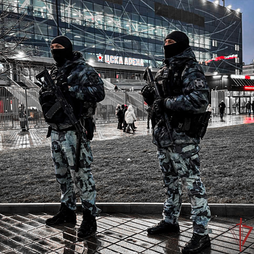 Росгвардия обеспечила безопасность хоккейного матча в Москве 