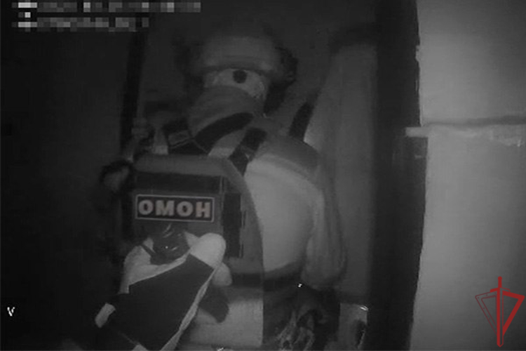 При содействии Росгвардии задержан один из фигурантов дела о телефонном мошенничестве в Подмосковье