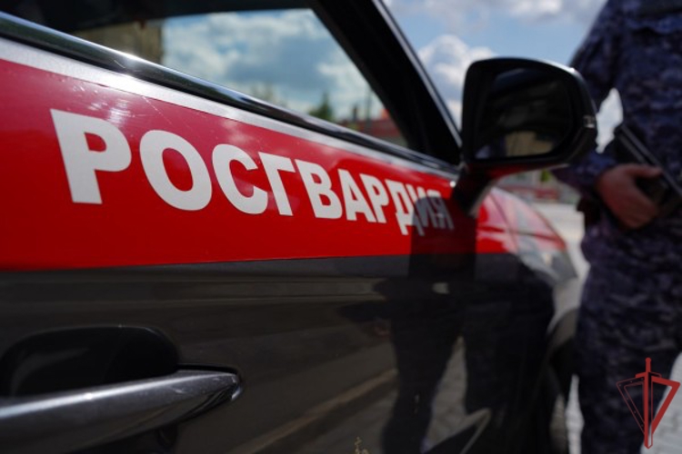 Столичные росгвардейцы предотвратили ДТП с выехавшим автомобилем с парковки