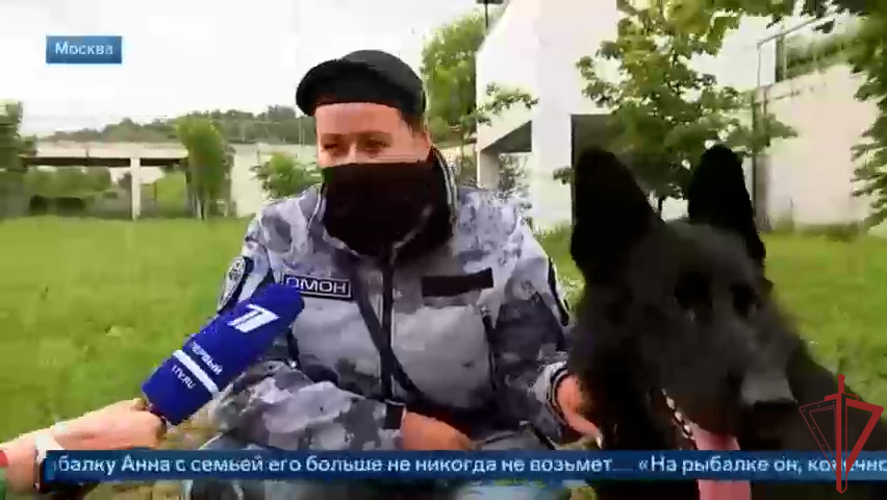 Кинологи и их верные друзья: истории о дружбе, взаимопонимании и преданности