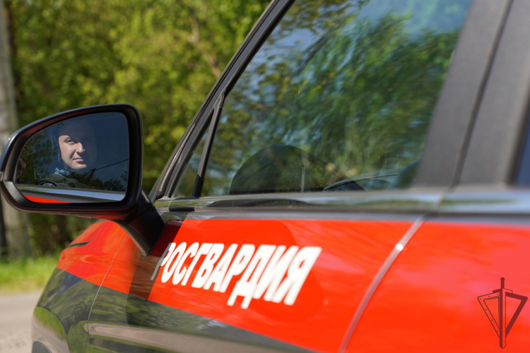 Cтоличные росгвардейцы задержали мужчину с фальшивым документом