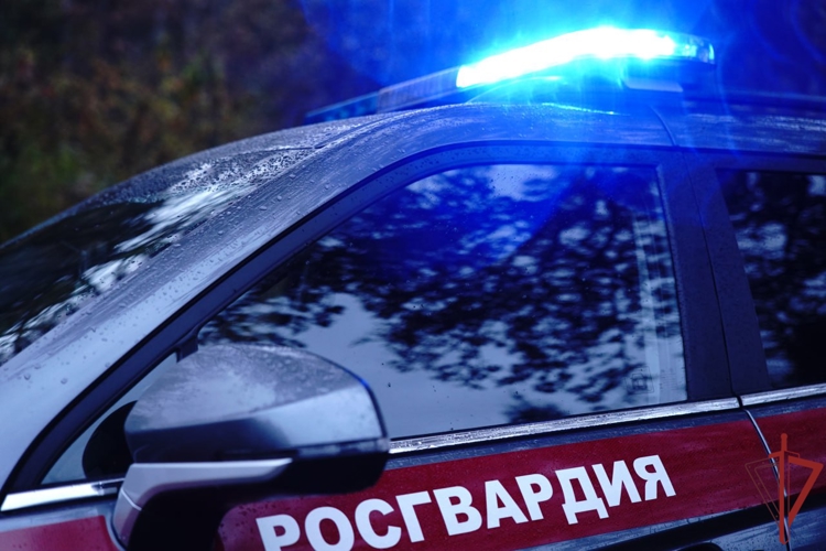 Росгвардейцы помогли дезориентированному мужчине на дороге в Москве (видео)