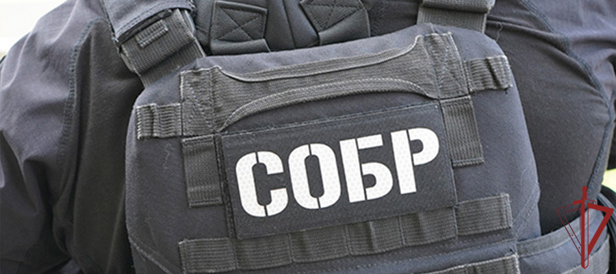 При участии СОБР Росгвадии пресечена незаконная банковская деятельность с миллиардными оборотами (видео)