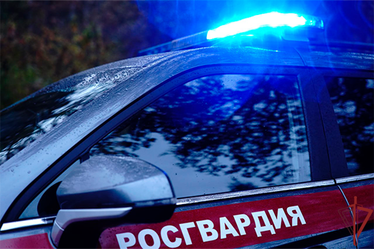 Московские росгвардейцы вернули отцу потерявшегося ребёнка (видео)