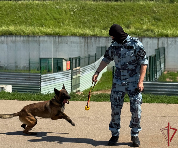 В столичном главке Росгвардии отметили День ветеринарно-санитарной службы (видео)
