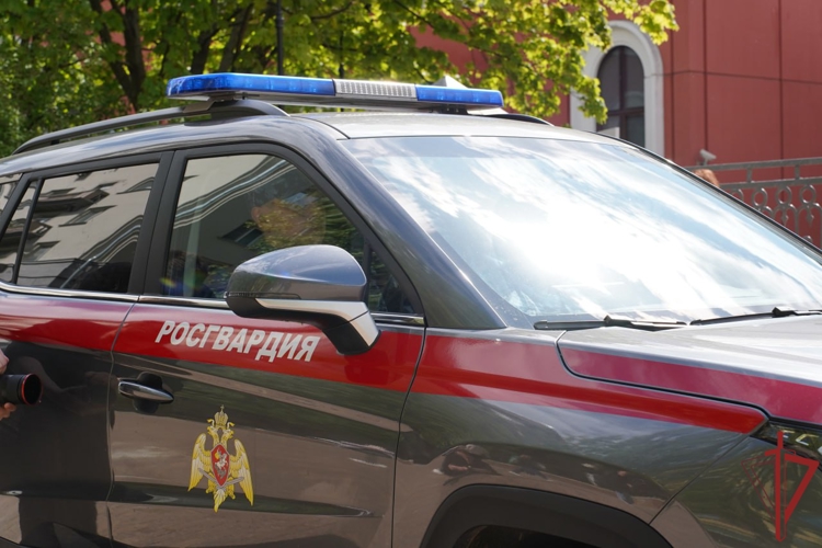 Московские росгвардейцы спасли пожилую женщину от телефонных мошенников (видео)