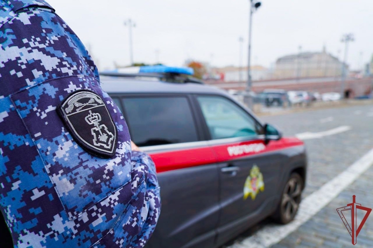 В Москве росгвардейцы задержали неадекватного гражданина, находящегося в федеральном розыске (видео)