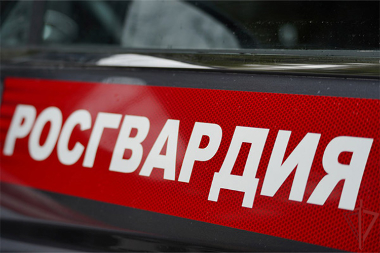 Сотрудники Росгвардии задержали нарушителя общественного порядка в центре Москвы (видео)