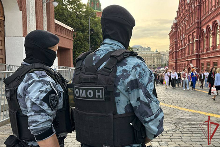 Сотрудники Росгвардии задержали находящегося в федеральном розыске в центре Москвы (видео)
