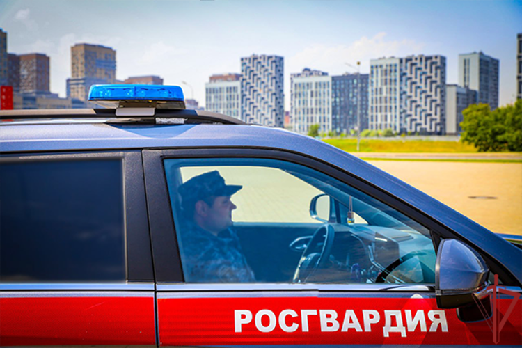 Росгвардейцы задержали дебошира в хостеле на востоке Москвы (видео)