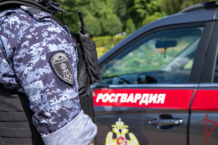 Столичные росгвардейцы задержали хулигана в торговом центре (видео)