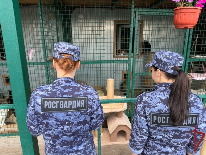 Московские росгвардейцы оказали помощь приюту для животных "Бирюлёво" (видео)