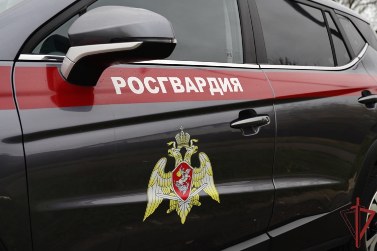 Московские росгвардейцы задержали подозреваемого в распространении крупной партии наркотиков (видео)