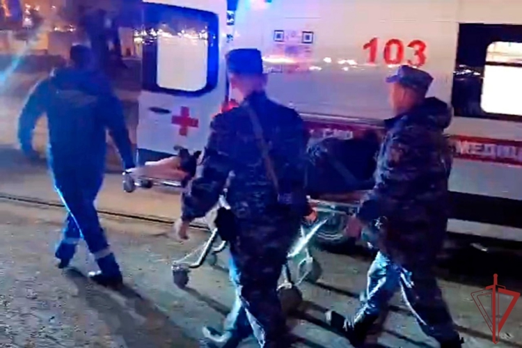 В Москве росгвардейцы оказали помощь потерявшему сознание мужчине (видео)
