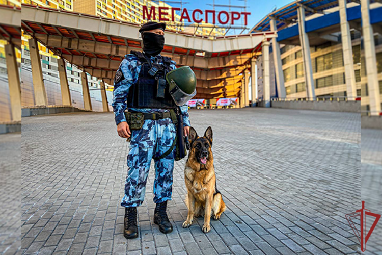 Московские росгвардейцы обеспечили правопорядок на хоккейном матче КХЛ