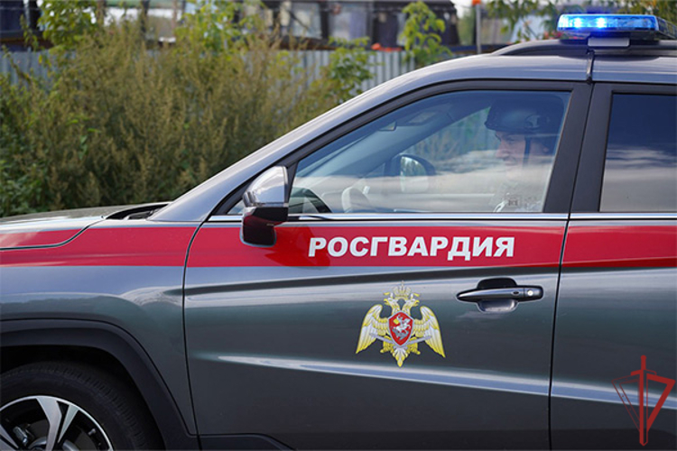 Столичные росгвардейцы задержали курьера, сбившего ребёнка на электровелосипеде (видео)