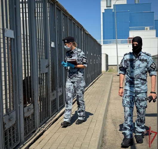 В День ветеринарного работника офицер ОМОН «Авангард» рассказала о значимости здоровья служебных собак (видео)
