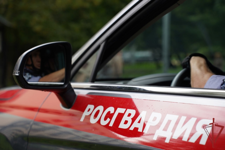 Московские росгвардейцы задержали курьера с гашишем в йогурте (видео)